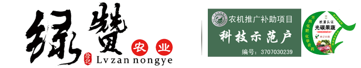 濰坊綠贊農(nóng)業(yè)有限公司-山東濰坊開元街辦徐記國(guó)牌西瓜種植基地